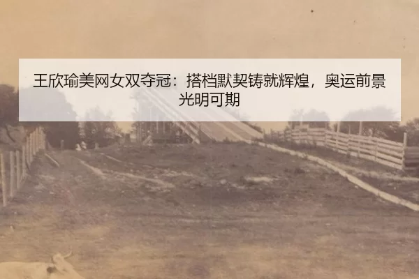 wang-xin-yu-mei-wang-nv-shuang-duo-guan-da-dang-mo-qi-zhu-jiu-hui-huang-ao-yun-qian-jing-guang-ming-ke-qi-3-577.jpg